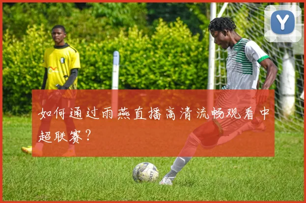 如何通过雨燕直播高清流畅观看中超联赛？